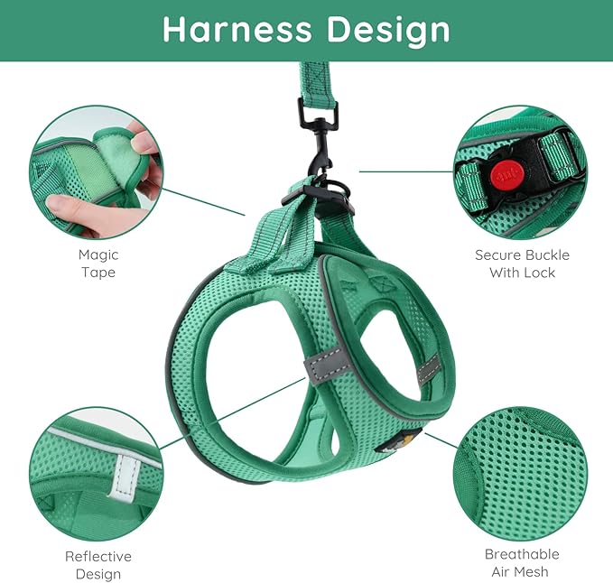 BELLA & PAL Step in Vest Harness for Small and Medium Dogs, No Pull Small Dog Harness with Leash Set, Comfortable Air Mesh Dog Vest Harness with Reflective Strip (Emerald, XXS)