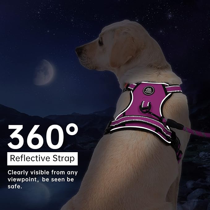 IVY&LANE No Pull Dog Harness for Large Dogs, Dog Vest Harness with Leash, Safety Belt and Storage Strap, Fully Adjustable Harness, 360° Reflective Strip, Soft Handle (Fuchsia Pink, XL)