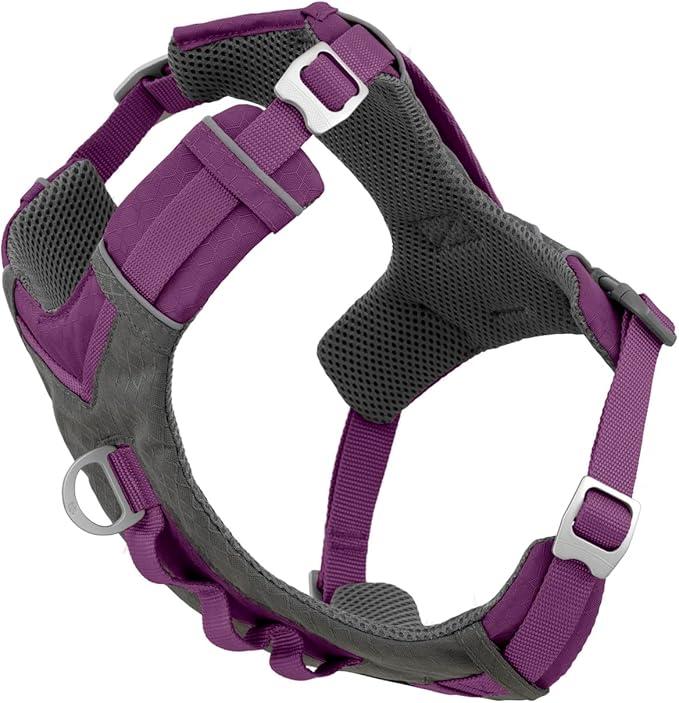 Kurgo Journey Air Dog Harness - Secure Fit for Active Dogs - Padded Chest - Lightweight Ripstop Fabric - Breathable Mesh - Reflective Trim - Back Assist Handle - Purple - Medium