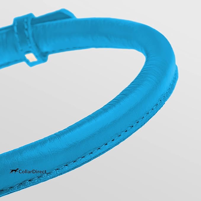 CollarDirect Rolled Leather Dog Collar, Soft Padded Round Puppy Collar, Handmade Genuine Leather Collar Dog Small Large Cat Collars 13 Colors (11-14 Inch, Light Blue Textured)