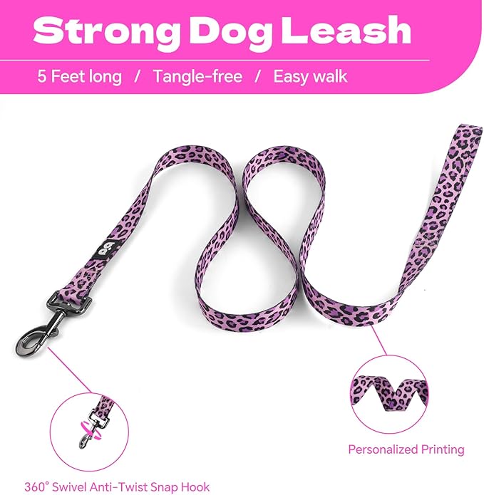 QQPETS Dog Harness Leash Set Adjustable Heavy Duty No Pull Halter Harnesses for Small Medium Large Breed Dogs Back Clip Anti-Twist Perfect for Walking