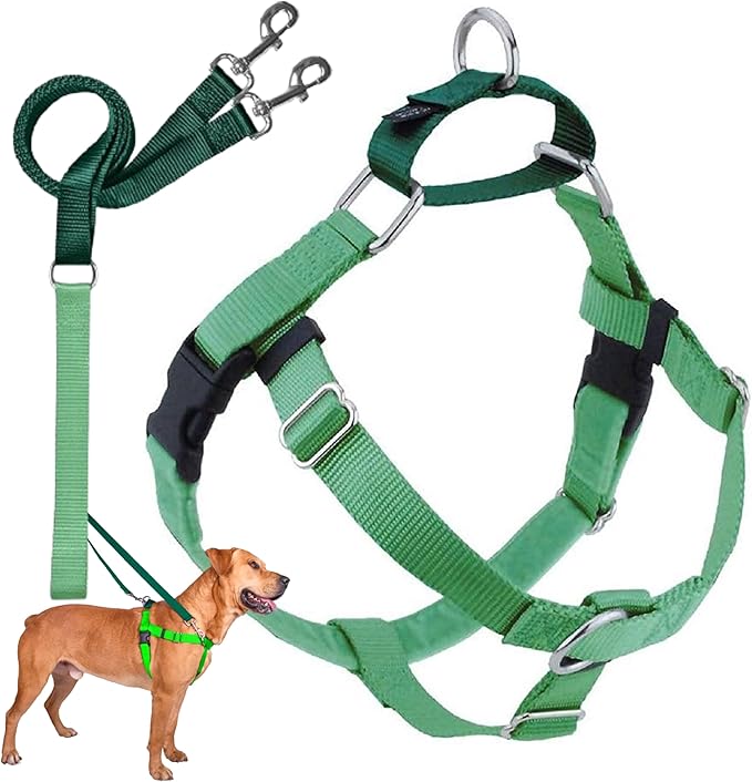 2 Hounds Design Freedom No Pull Dog Harness, Adjustable Harness and Leash Set, Easy Walking & Comfortable Control, Fits Small, Medium & Large Dogs, Solid Colors, Made in USA, 1" LG, Neon Green