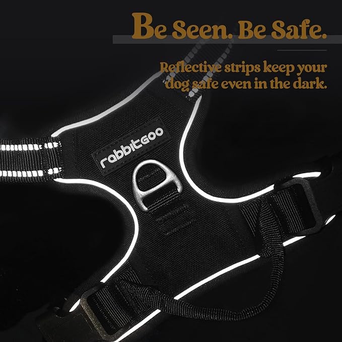 rabbitgoo Dog Harness No Pull with 2 Leash Clips, Adjustable Soft Padded, Reflective Oxford No Choke Pet Vest with Easy Control Handle for Small Dogs, Black, S