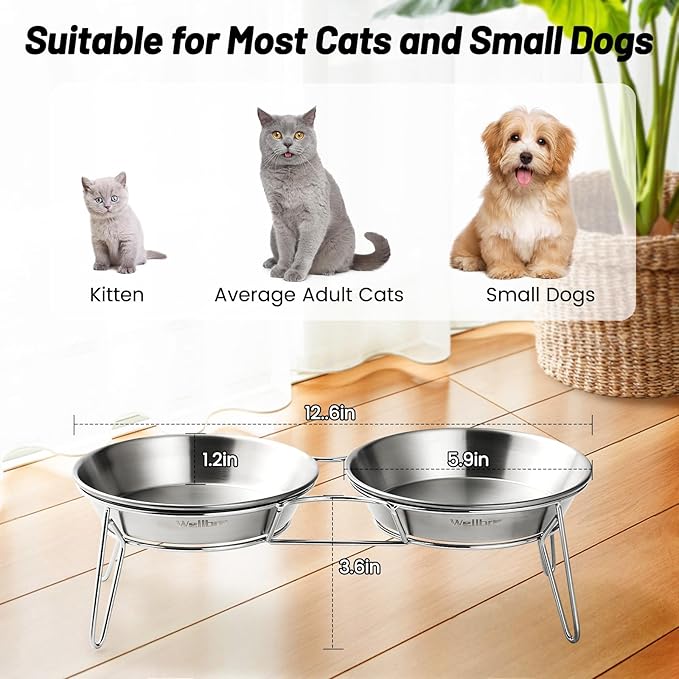 Elevated Cat Bowls, 5.9 Inch Wide Stainless Steel Cat Food Bowls with Metal Stand Whisker Stress-Free, Raised Food and Water Dish for Cats, Kitten