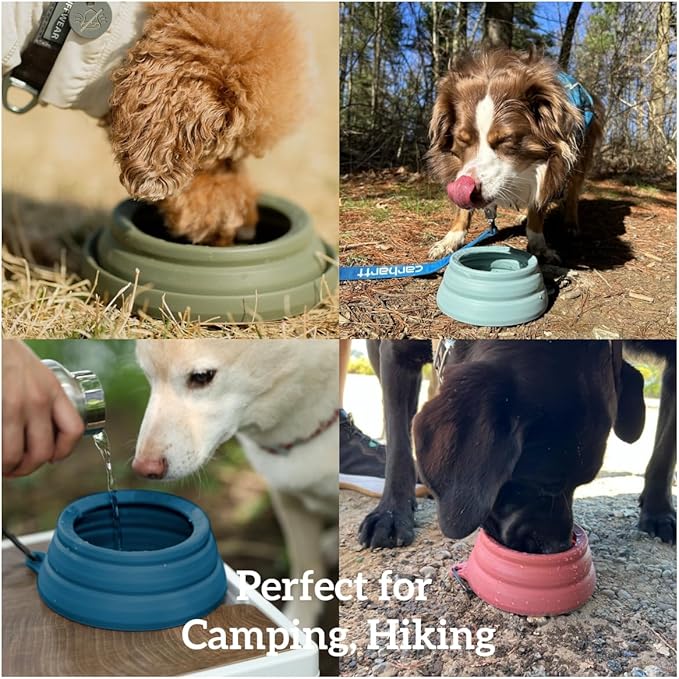 OHMO Spill Proof Collapsible Dog Water Bowl Large 34oz for Cars, No Splash Portable Bowls for Dog Travel, Pet Essentials for Road Trips, Cat Travel Accessories