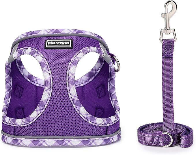 Mercano Soft Mesh Dog Harness and Leash Set, No-Chock Step-in Reflective Breathable Lightweight Easy Walk Vest Harnesses with Safety Buckle for Small Dogs, Cats (S, Purple)