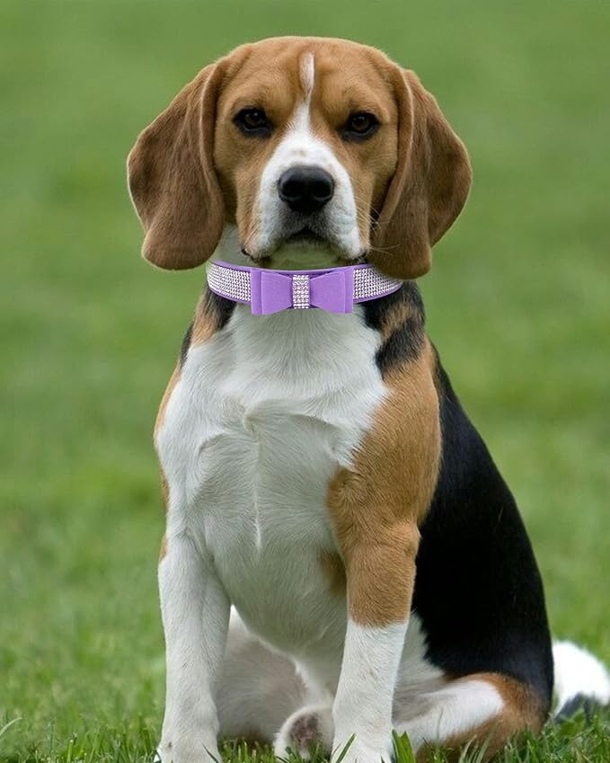 Bling Dog Collar for Small Medium Large Dogs, Crown Rhinestone Dog Collars for Girl and boy Dog, Diamond Puppy Collars, Adjustable Leather Suede SOFE Cat Collar (S(10.6"-13"/27CM-33CM), Purple3)