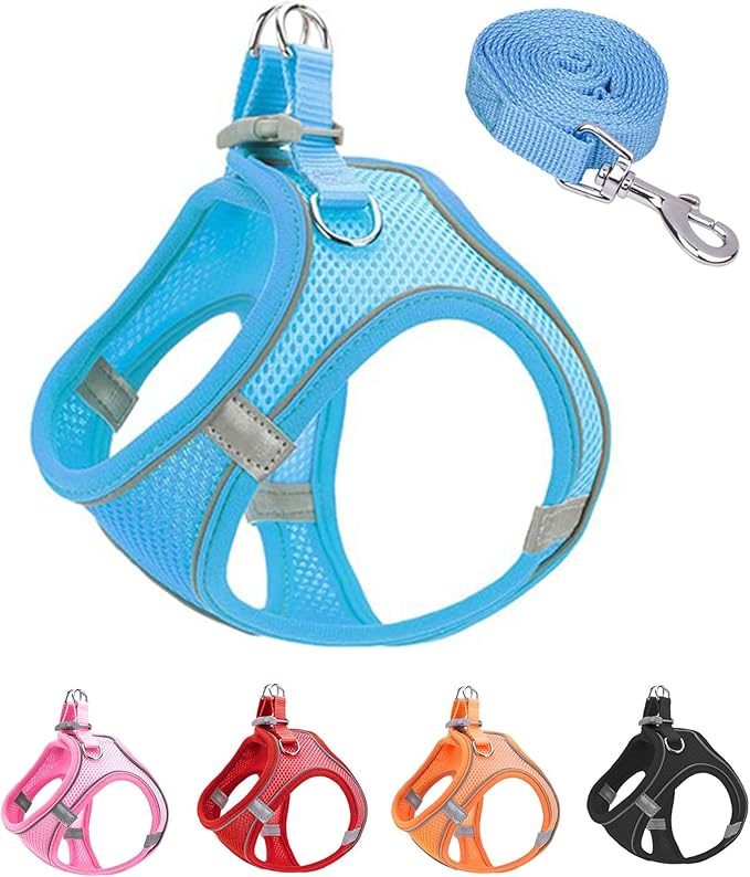 M Blue Soft Mesh Dog Harness and Leash Set,No Escape Puppy Harnesses for Training Walking竊?Reflective Adjustable Puppy Vest for Small Medium Dogs, Cats (Blue, M)