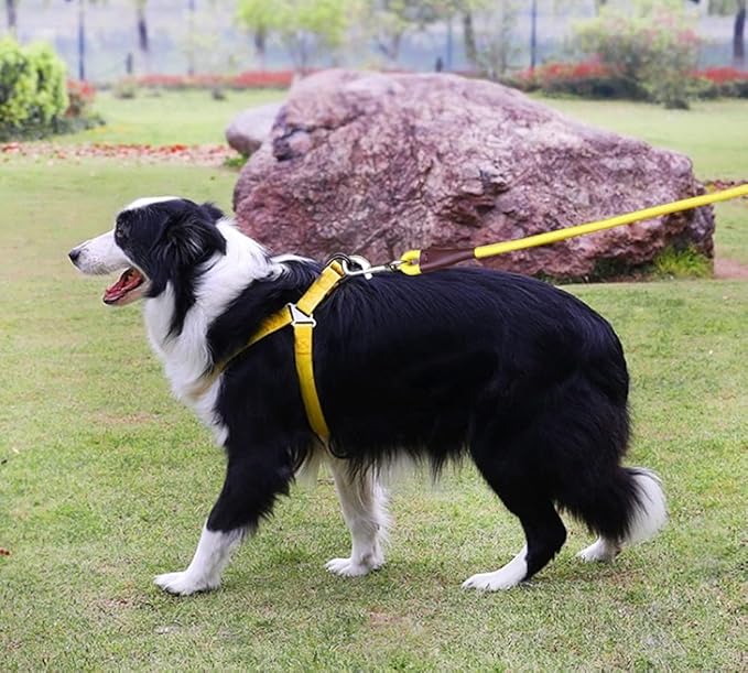 MayPaw 4/6 /8/10 FT Dog Leash, Classic Solid Colors, Strong Nylon Rope Dog Leash Reinforced with Leather Tailor Connection Heavy Duty Silver Clasp (Yellow, 6ft*1/2")