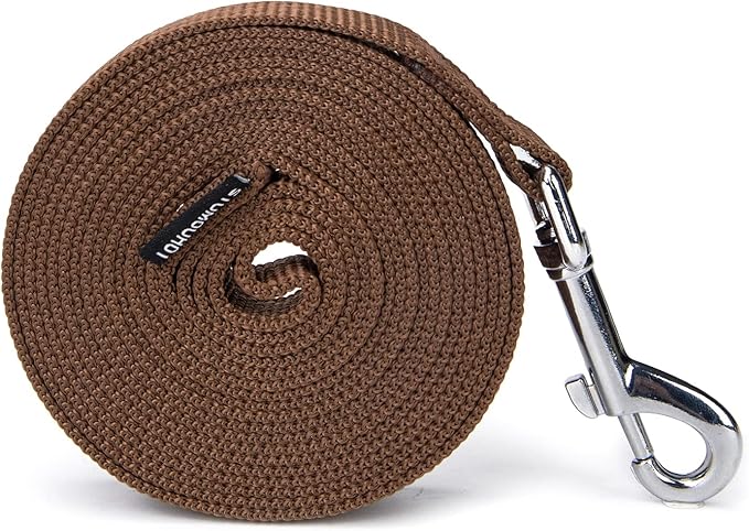 Strong Durable Nylon Dog Training Leash, 1 Inch Wide Traction Rope, 6 ft 10ft 15ft Long, for Small and Medium Dog (Brown, 10 Feet)