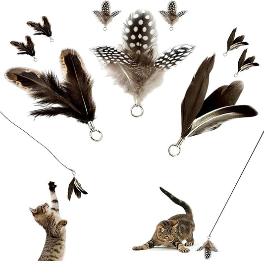 Feather Toys Replacements (9 Pc) - Cat Toys & Kitten Toys for Indoor Kittens, Set of Replacement Feather Attachments Extra Small and Durable, for Cat Wands, Natural and Safe