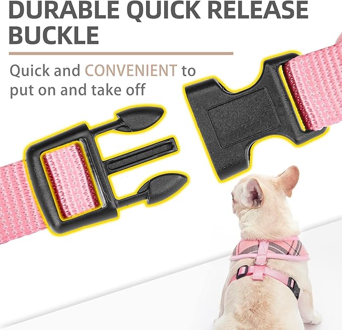 PUPTECK Soft Mesh Dog Harness and Leash Set Pet Puppy Cat Comfort Padded Vest No Pull Harnesses, Light Pink, S
