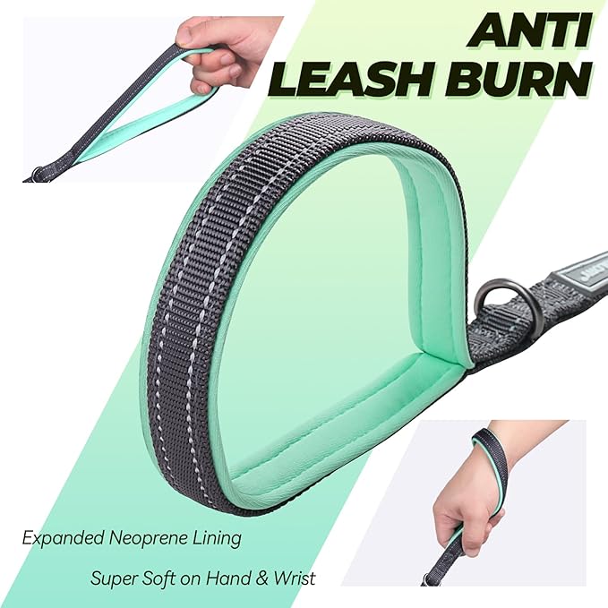 VIVAGLORY Twingrip Dog Leash, Double Handle Dog Leash for Training & Walking with Traffic Handle & 2 Loop, Traffic Control Reflective Heavy Duty for Puppy Pet, 6ft x 1/2in, Grey