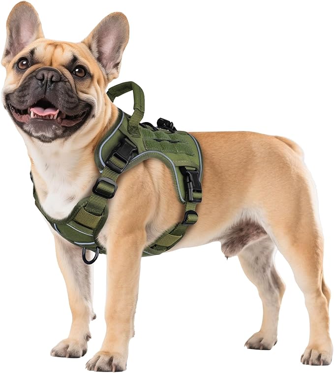WINGOIN Green Tactical Dog Harness for Small Dogs, Heavy Duty No Pull Harness with Handle, Adjustable Reflective Military K9 Pet Vest for French Bulldog, Pug, Walking, Training, Hunting (S)