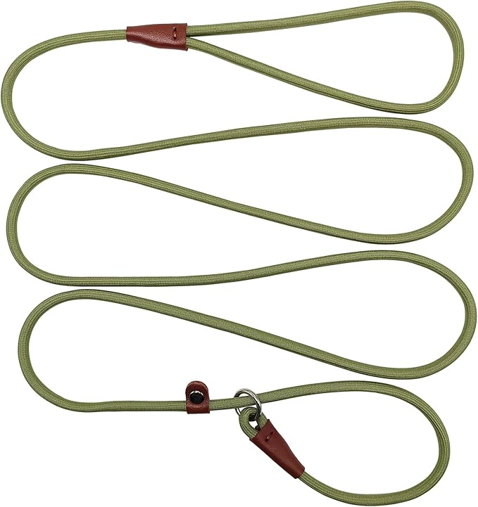 BTINESFUL 7FT Slip Lead Dog Leash, Lightweight Nylon Rope Leash, 1/4 inch Diam Dog Training Lead for Small Medium Large Dogs, Grass Green