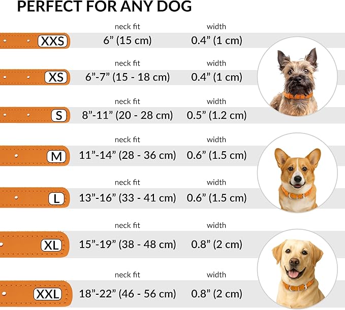 CollarDirect Rolled Leather Dog Collar, Soft Padded Round Puppy Collar, Handmade Genuine Leather Collar Dog Small Large Cat Collars 13 Colors (15-19 Inch, Orange Textured)