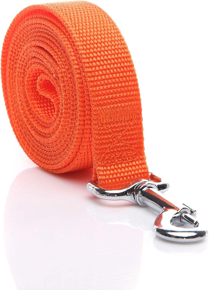 Nylon Dog Leash 16 Feet Long, Walking Training Dog Leashes for Medium Large Dogs(1" X 16 ft, Orange)