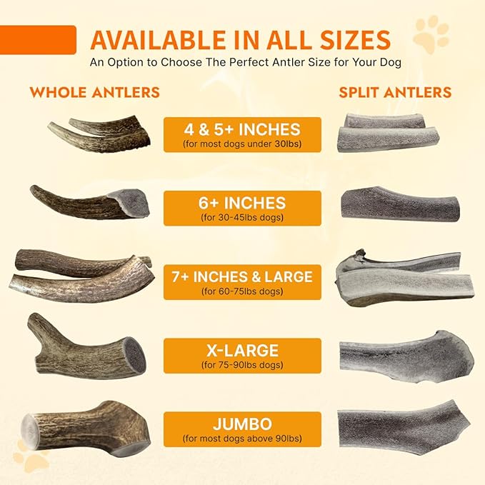 Tibetan Dog Chew Antler