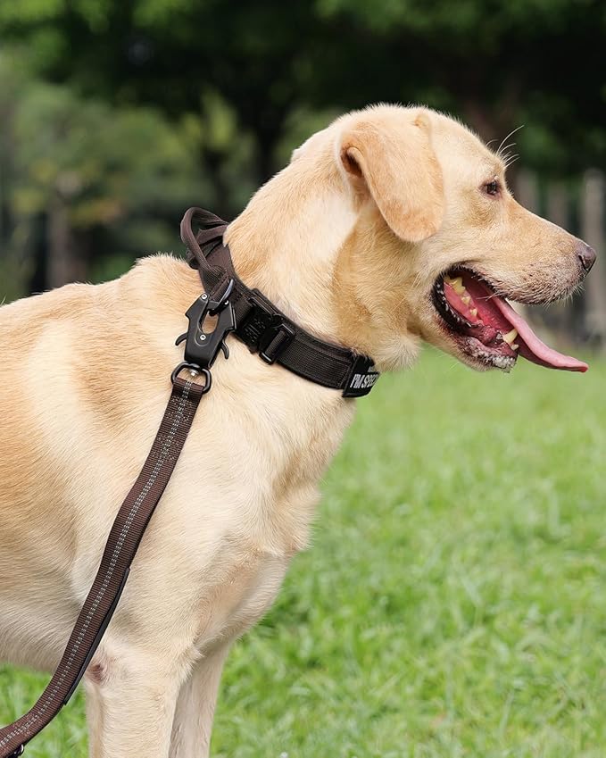 Joytale Tactical Dog Collar with Handle, Adjustable Heavy Duty Military Collar with 2 Patches for Training, Suitable for Medium Dogs, Brown, M