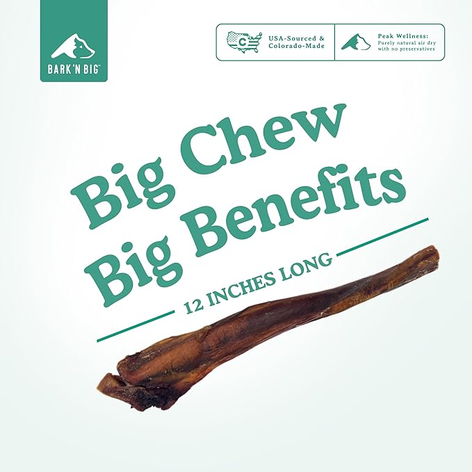 BARK'N BIG 12 Inch Monster Bully Sticks for Large Dogs - Colossal Bullarge Size - Made in USA - Single Ingredient Dog Chew - Super Premium Pizzle Sticks - Jumbo Beef Pizzles for Large Breeds - 1 ct