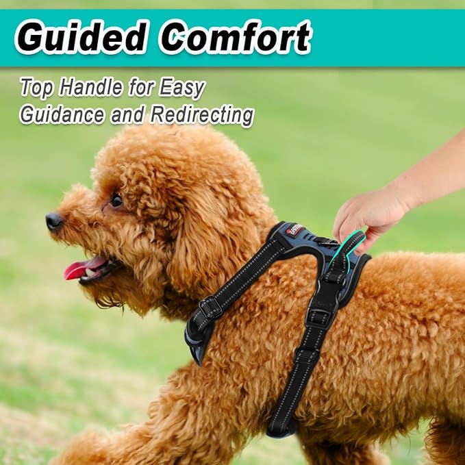 BARKBAY Dog Harness No Pull for Small Dogs - Adjustable, Reflective, Comfortable, No Choke, Heavy-Duty - Perfect for Outdoor Training, Walking, and Hiking - Strong & Durable - XS & Navy