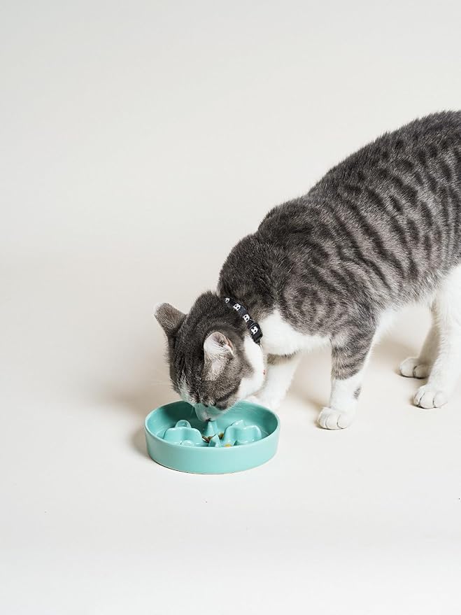 Ceramic Slow Feeder Dog Bowls Small Breed, 0.5 Cups Dog Food Dish for Fast Eaters, Puzzle Bowl for Small Dogs and Cats, 5.5 Inch-Turquoise