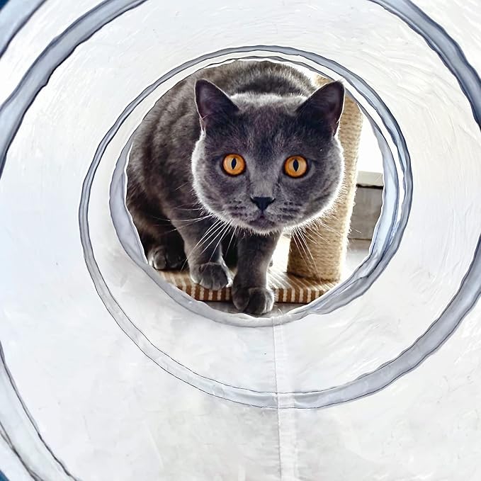 Petronic Pop Up 3 Way Cat Tunnel and Cube Kitten Indoor/Outdoor Collapsible Tube