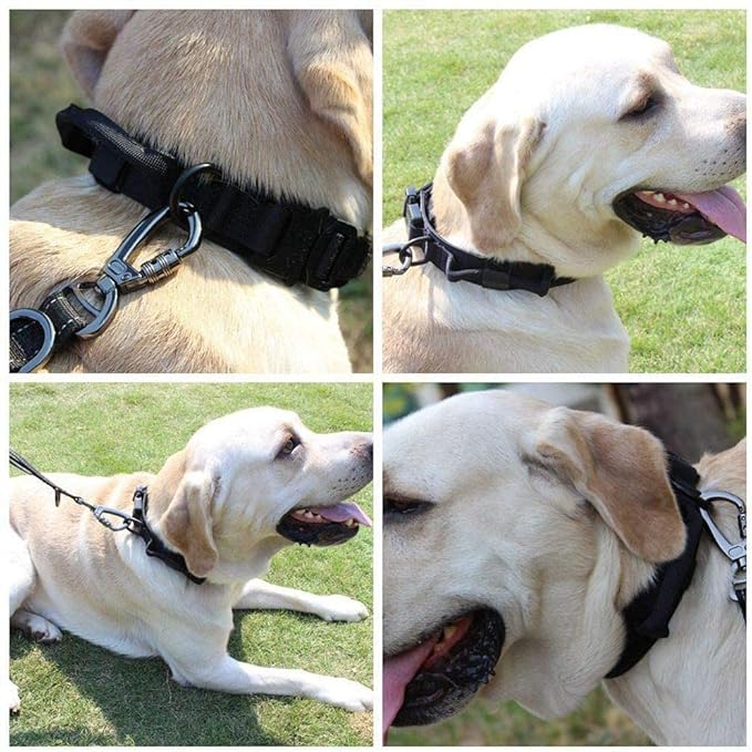 Xqpetlihai Tactical Dog Collar Adjustable Military Nylon Dog Collar with Control Handle and Heavy Duty Metal Buckle for Medium and Large Dogs (Black,XL)