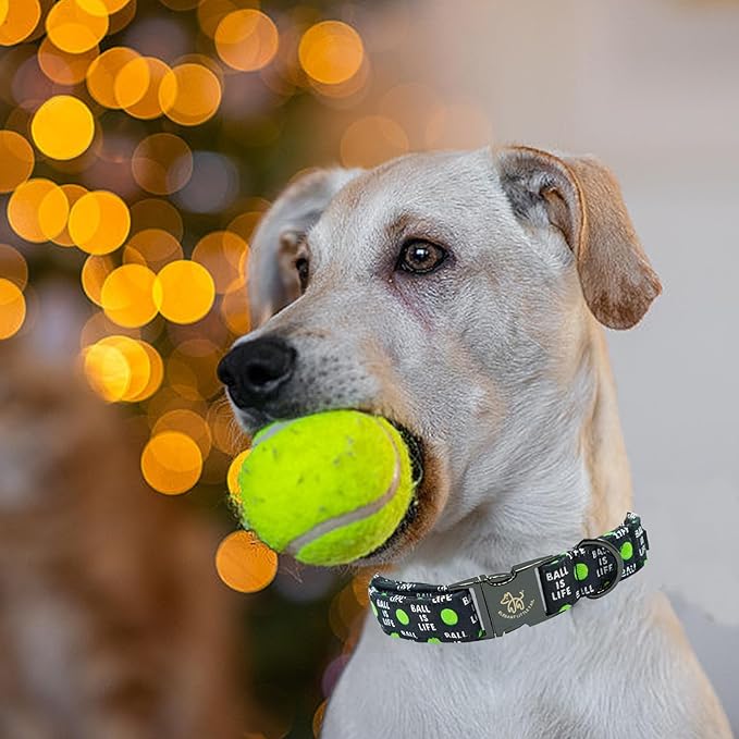 Elegant little tail Dog Collar, Holiday Pet Collar Boy Dog Collar Durable Dog Collars Ball Print Soft Pet Gift Adjustable Dog Collar for Small Medium Large Dogs