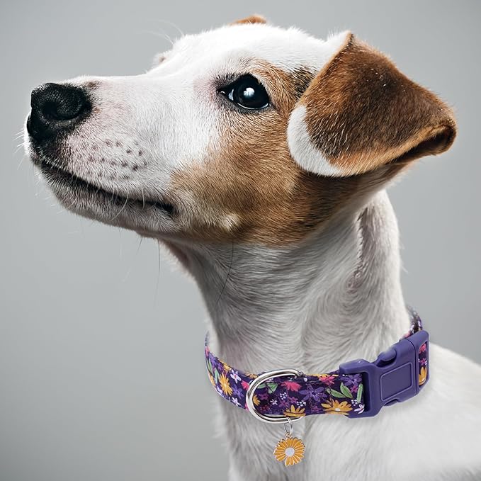 Faygarsle Cotton Dog Collar Cute Dog Collars for Small Medium Large Dogs Purple Yellow Floral Colored Options Soft and Fancy Pet Collars for Girls Flower Pattern for Girl Dog Collar M