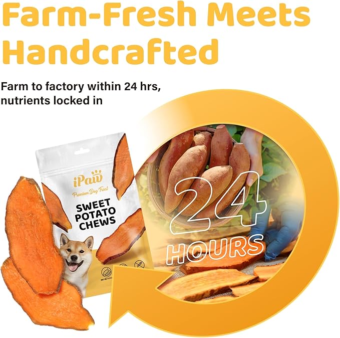 iPaw Sweet Potato Chews, Single Ingredient Dog Treats for Vegetarian, All Natural Human Grade Puppy Chew, Rawhide Alternative, Hypoallergenic, Easy to Digest