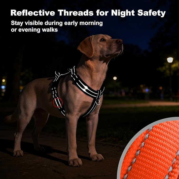 No Pull Dog Harness with Handle, Soft Mesh Padded Adjustable for Small Medium Large Dogs | Reflective Easy Walk Harness with Front Clip for Training, Running & Outdoor (Orange, S)