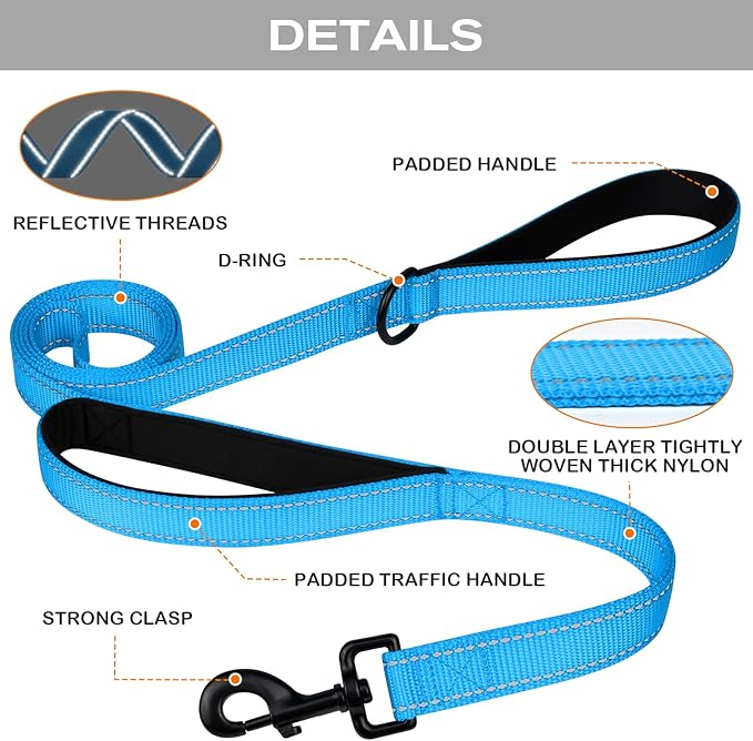 Joytale Dog Leash Heavy Duty for Large Dogs That Pull, Double Handle for Traffic Control, Double-Sided Reflective Leashes for Large Medium Dogs Night Safety, 6FT, Aqua Blue