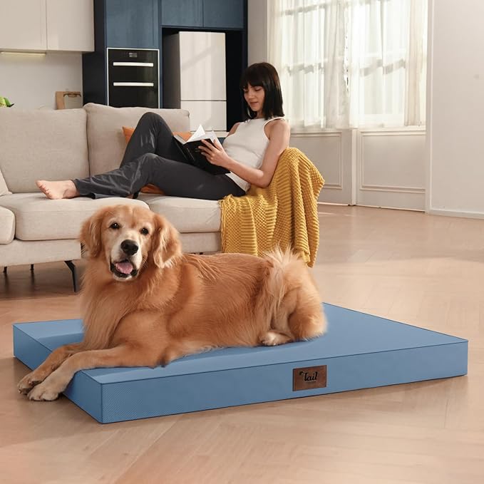 Outdoor Orthopedic Dog Bed for Medium Dogs & Cats, Waterproof Flat Pet Mat with Egg Crate Foam & Washable Removable Oxford Cover, 30x20 Inch, Blue