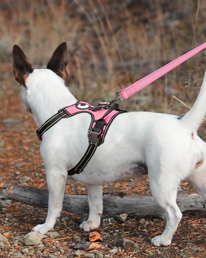 Joytale Dog Leash Heavy Duty for Small Medium Dogs, 5 FT Reflective Nylon Pet Walking Lead with Soft Padded Handle, Durable & Tangle Free for Training, Running & Safety Control, Pink