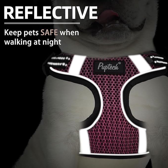 PUPTECK Dog Harness and Leash Set Small Sized, Step in No Pull Adjustable Puppy Cat Harness Reflective Pet Vest