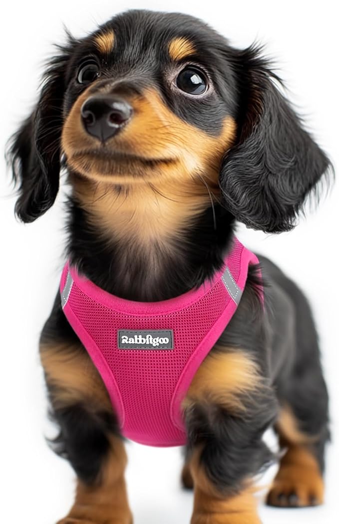 rabbitgoo Small Dog Harness, Step-in Soft Mesh Puppy Vest with Safety Buckle, Breathable Reflective Pet Harness for Extra Small Dogs, Rose Red XXS