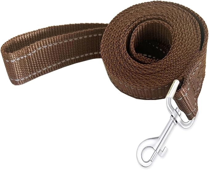 Reflective Dog Leash 4Ft /5 Foot /6 Feet Long, 1 Inch Wide, for Small and Medium Dogs