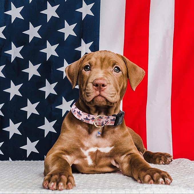 Faygarsle Cotton Dogs Collar Cute 4th of July Independence Day Dog Collars Pink Blue American Flag Star Patterns Dog Collarfor Girl Female Boy Male Small Medium Large Dogs L