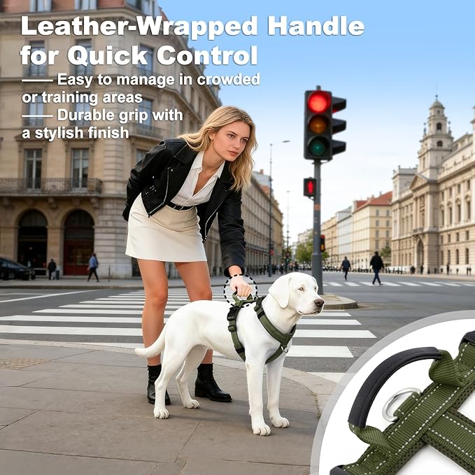 No Pull Dog Harness with Handle, Soft Mesh Padded Adjustable for Small Medium Large Dogs | Reflective Easy Walk Harness with Front Clip for Training, Running & Outdoor (Ranger Green, L)
