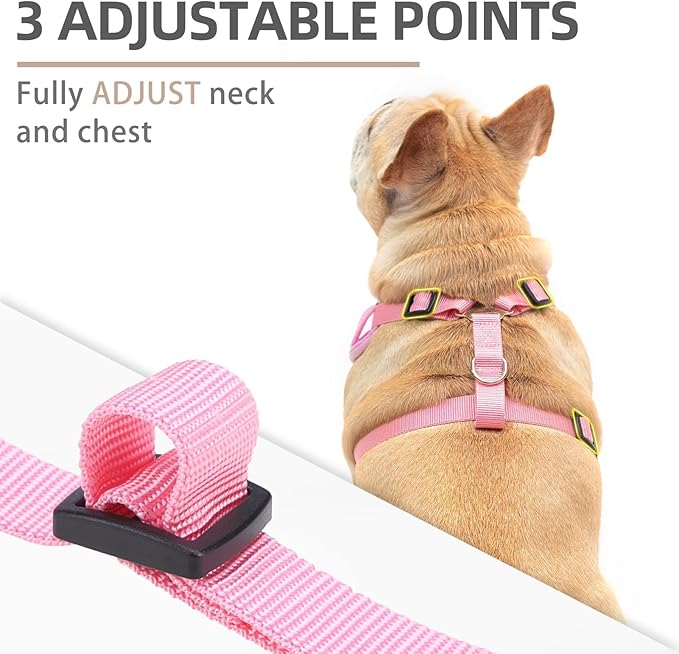 PUPTECK Small Dog Harness and Leash Set, No Pull Adjustable Puppy Cat Harness, Reflective Soft Mesh Pet Vest Small Sized, Pink, M