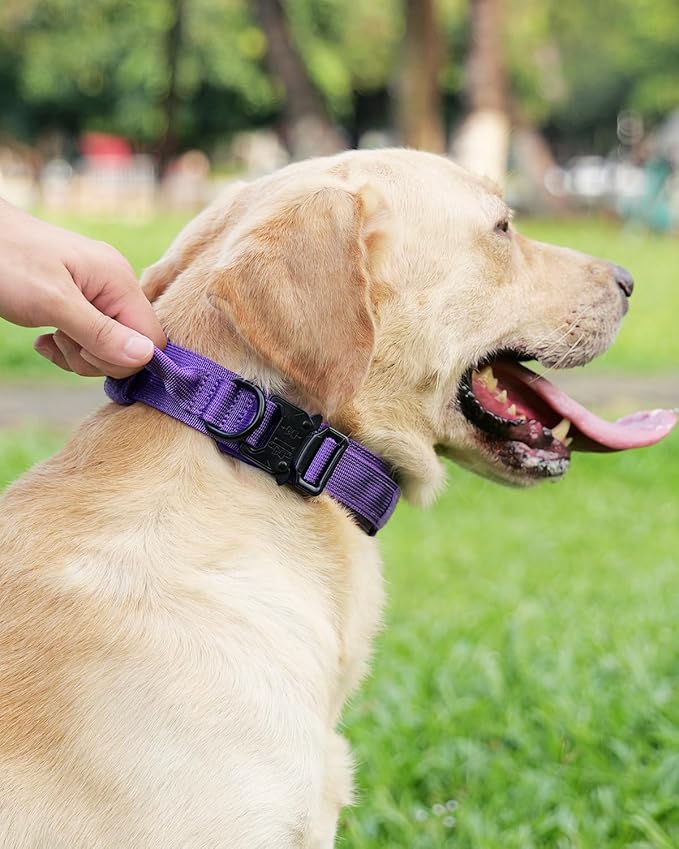 Joytale Tactical Dog Collar with Handle, Adjustable Heavy Duty Military Collar with 2 Patches for Training, Suitable for XLarge Dogs, Purple, XL
