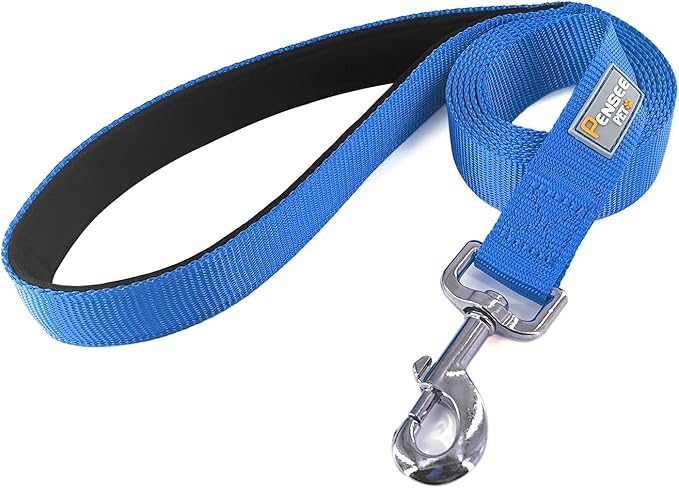 Basic Dog Leashes 6 FT Padded Handle Nylon Dogs Leashes for Small Dogs Blue