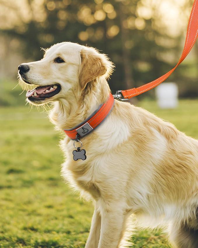 Joytale Dog Collar for Large Dogs, Neoprene Padded and Adjustable, Reflective Wide Heavy Duty Pet Collars with Durable Metal Belt Buckle for Walking, Orange, L