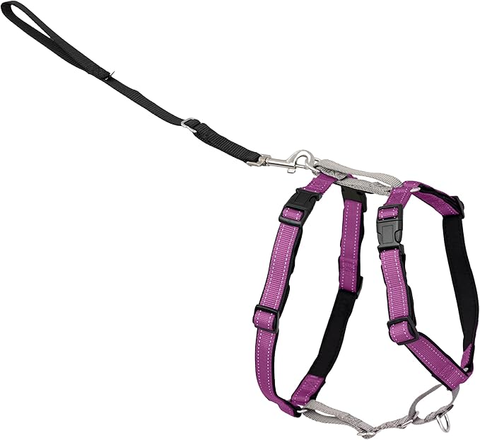 PetSafe 3 in 1 Dog Harness - No Pull Solution for Dogs - Reflective Dog Harness - Front D-Ring Clip Helps Stop Pulling - Comfortable Padded Straps - Top Handle Enhances Control - Plum - Extra Small