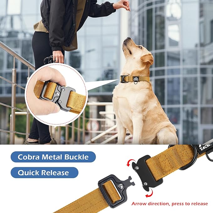 Dog Collar for Large Dogs - Adjustable, Chew Proof Nylon Collar with Metal Quick Release Buckle and D-Ring for Dog Tags (Turmeric Yellow)