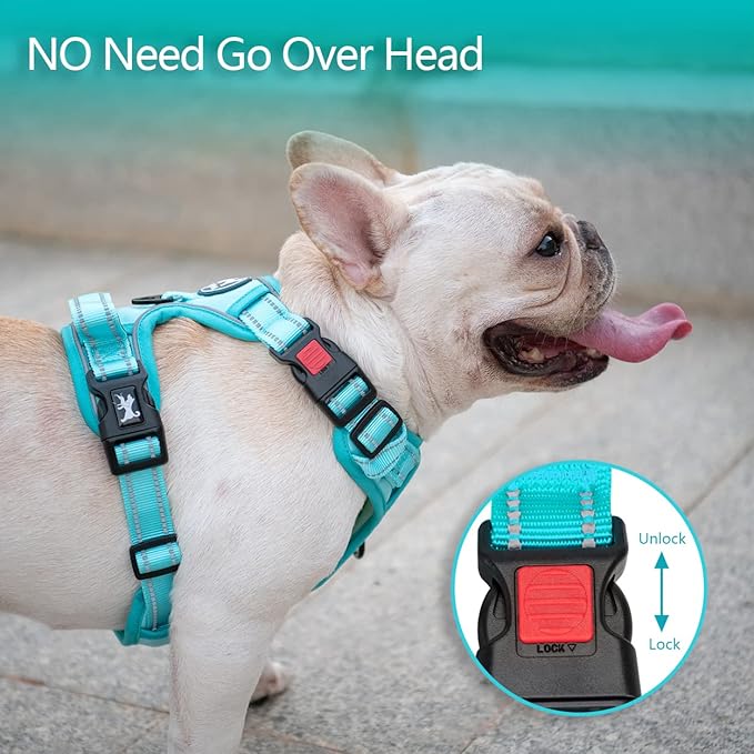 PoyPet No Pull Dog Harness, No Choke Reflective Dog Vest, Adjustable Pet Harnesses with Easy Control Padded Handle for Small Medium Large Dogs(Mint Blue Matching Trim,XL)
