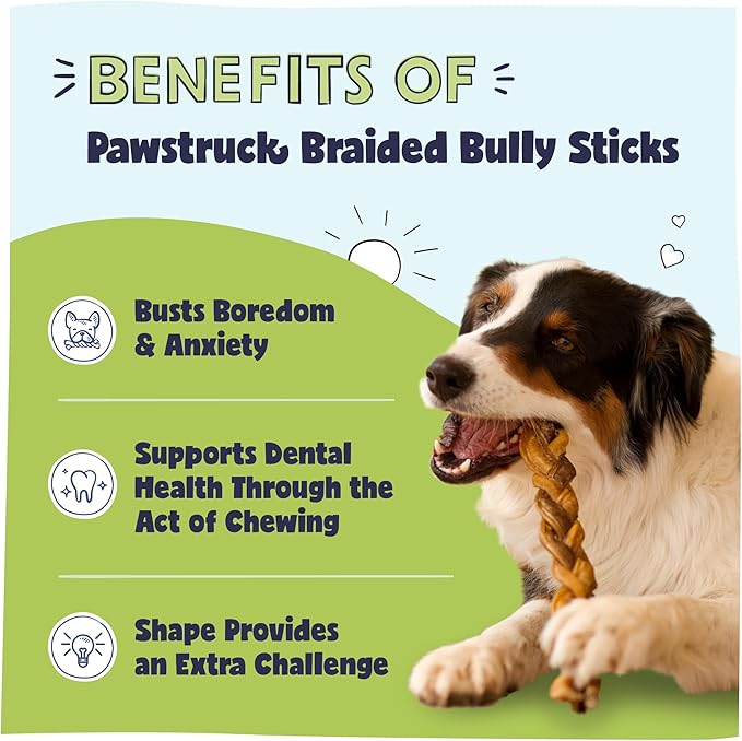 Pawstruck Natural 9” Braided Bully Sticks for Dogs - Tough, Long-Lasting, Rawhide-Free, Low Odor, Healthy Single Ingredient Chew Treat for Aggressive Chewers - 10 Count - Packaging May Vary