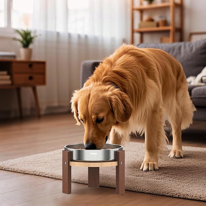 Elevated Dog Bowl Stand, 6'' Height Raised Stand for Medium&Small Dogs, Includes 2Cups Stainless Steel Slow Feeder Dog Bowl, Durable Solid Hardwood
