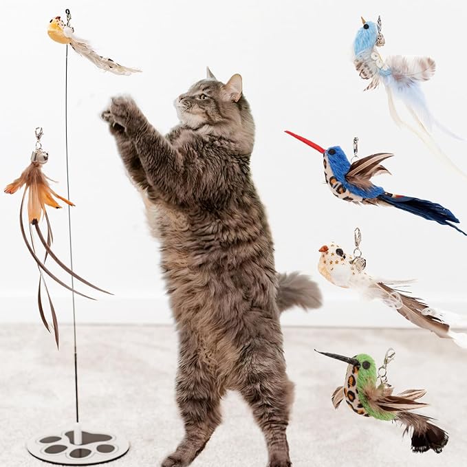 Interactive Bird Simulation Cat Toy Set Interactive Cat Toys for Indoor Cats Cat Feather Toy 5 Replacement Birds Realistic Feathers & Bells